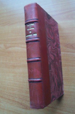 Livre Rare : Robinsons De L'Air Par Danrit (1908) - Aviation, Reliure D'art, Illustré