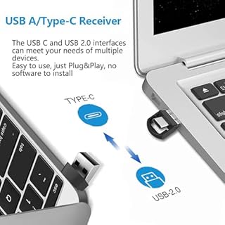 USB/Type-C 2 in 1 Presentatore Wireless Presenter Ricaricabile, Hyperlink Volume Puntatore Presentazioni Clicker per Presentazione Powerpoint Telecomando Slide PC per Mac iPad Computer Laptop