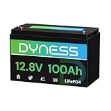 Dyness 12V 100Ah LiFePO4 Lithium Battery BCI Group 31 with Low-Temp Protection, A+ Grade Cell Built-in 100A BMS, 12.8 Volt Lithium Battery Perfect for RV, Solar System, Off-Grid, Home Energy Storage