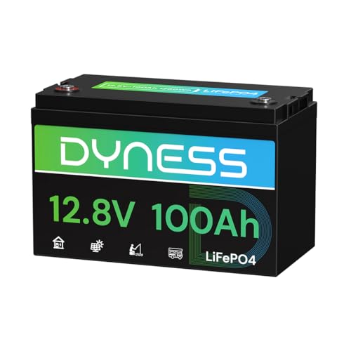 Dyness 12V 100Ah LiFePO4 Lithium Battery BCI Group 31 with Low-Temp Protection, A+ Grade Cell Built-in 100A BMS, 12.8 Volt Lithium Battery Perfect for RV, Solar System, Off-Grid, Home Energy Storage