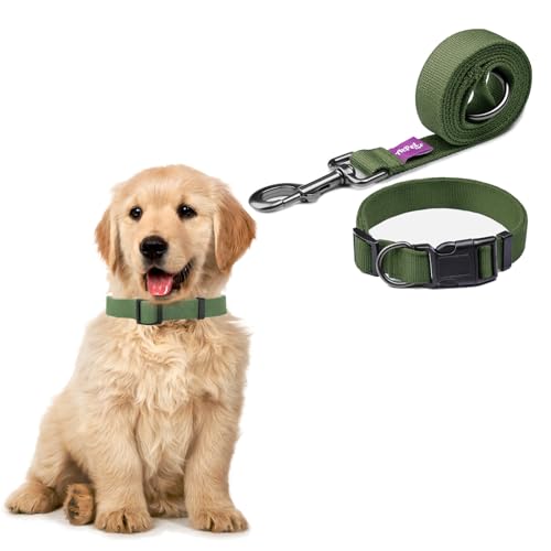 Leash Collar The 15 best products compared Wild Explained