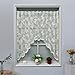 ACMHNC Jardiniere Zasłona siatkowa z marszczoną krawędzią, dom wiejski, biała koronka, motyl, kuchnia, kawiarnia, krótka zasłona, dekoracyjna falbanka do małych okien (biała, 100 x 180 cm)