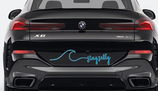 Image of Stay Salty - (5 x 2 Light Blue) - Vinyl Decal - for Windshild, Windows, Bumpers, Laptops, Phones
