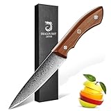 DRAGON RIOT Damascus Paring Knife 5 inch, VG-10 Damascus...