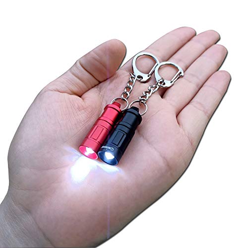 Smallest Keychain Flashlight Super Micro Mini Small Tiny Led Flashlight, Bright Key Ring Light Torch for EDC Emergency Dog Walking Sleeping Reading Gift for Student Kids or Parents (Black red 2PCS)