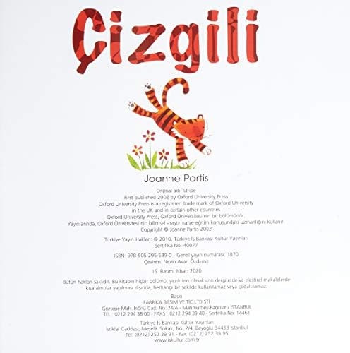 Çizgili - Görsel 2