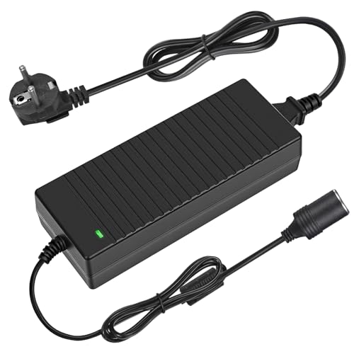 Adaptador Mechero Coche a Enchufe, 10A/120W Transformador 12V a 220, Convertidor 12V 220V, con Encendidor de Cigarrillo de Coche, para Nevera de Coche, Inflador de Neumáticos, Aspiradora de Coch