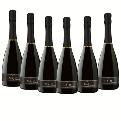 OFFERTA SPECIALE | Spumante Extra Dry Millesimato, da Uva Glera, Gusto Fresco con Note Fruttate, 6x750 ml