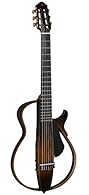 Mahogany body and neck Rosewood fingerboard, rosewood bridge Master Volume, Bass, Treble and Effects controls 4 available effects: Reverb 1, Reverb 2, Chorus, Echo Includes gig bag, power supply and ear buds