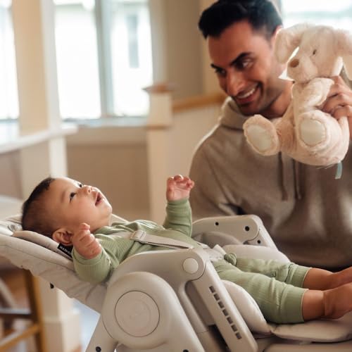 Maxi-Cosi, Cadeira de Refeição Minla, 0 a 60kg, Classic Oat
