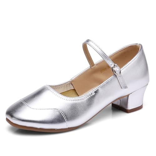 SWDZM Zapatos de Baile Mujer Salsa y Bachata Cerrados Tango Zapatos de Baile Character Profesional de Salon,Plateado,Tacón 5cm,Suela de Ante,39 EU