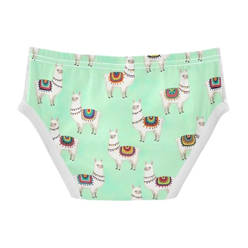 CHIFIGNO Underwear for Boys Cute Llama Green Cotton Boy Briefs Printed Soft Underwear Briefs2