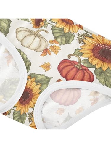 ZZKKO Fall Sunflower and Pumpkin Vintage Girls Underwear Toddler Panties for Girls Comfort Brief Size 2-8T4