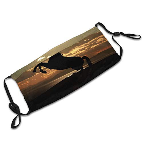 War Horse Silhouette Animal Horses Print Mask, Reusable And Adjustable With 2 Filter For Men Women Outdoor Activities #TOP5