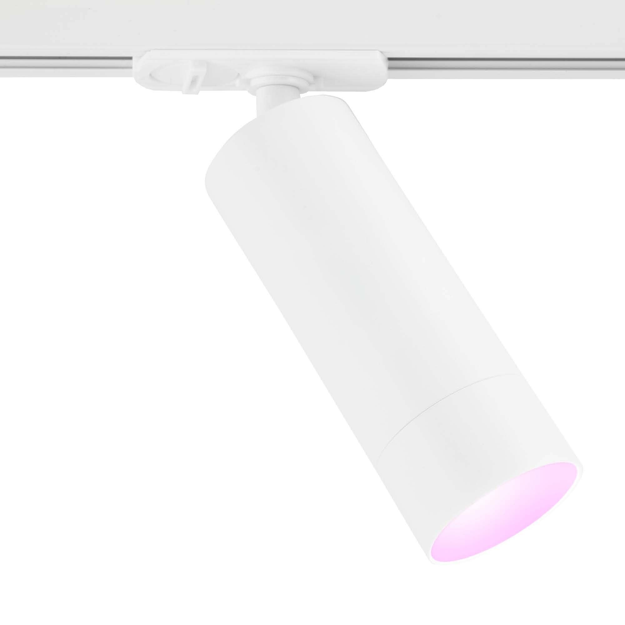 Ledvion Éclairage Rail LED 2M + 4 Spots | 5W, 2700K, Noir | Dimmable Pour Cuisine, Salon, Bureau