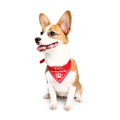 TENGGO Yani HG-PLJ1 Pet Dog Red Imperial Crown Adjustable Collars Pet Cool Decoratoive Towel Pet Drcoration - L