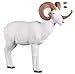 Rinehart Targets 379 Dahl Sheep Self Healing Archery Hunting Target - ASA