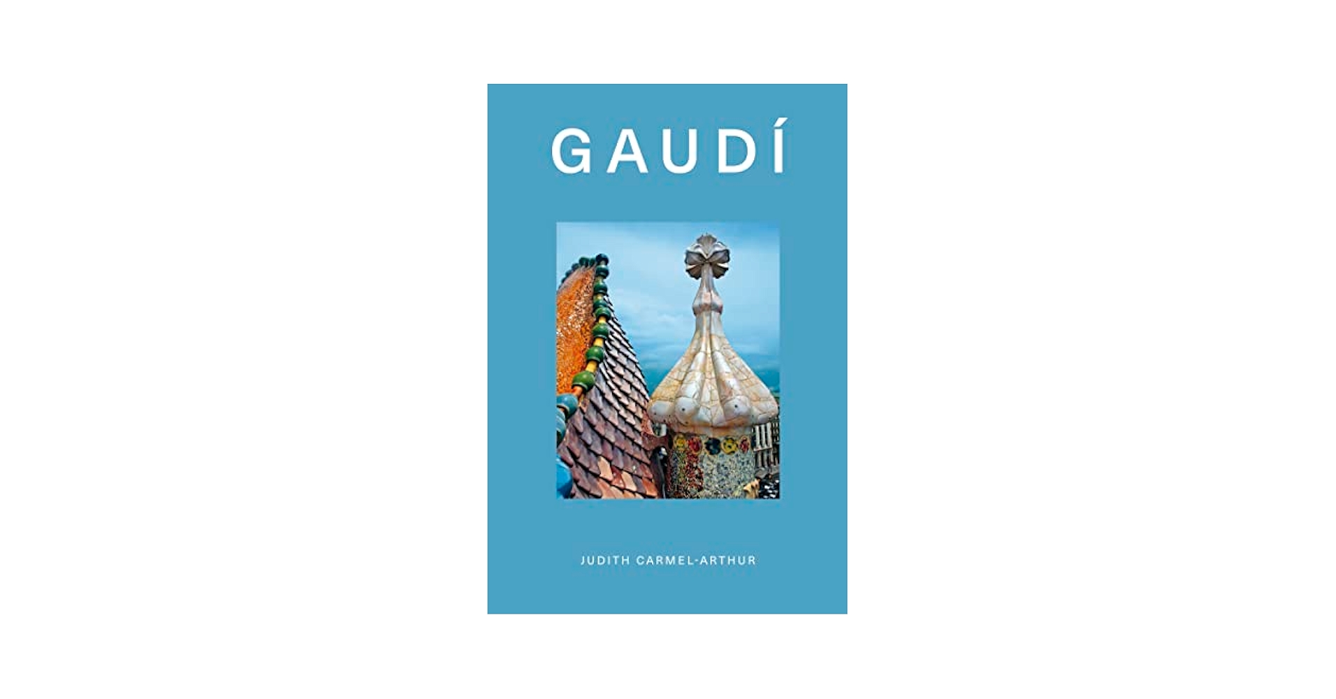 洋書 GAUDI THE VISIONARY Amazon.com: Gaudi The Visionary: 9780670335862: Prevost