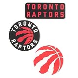 Desert Cactus Toronto Raptors Acrylic Magnet 3-Pack (A)