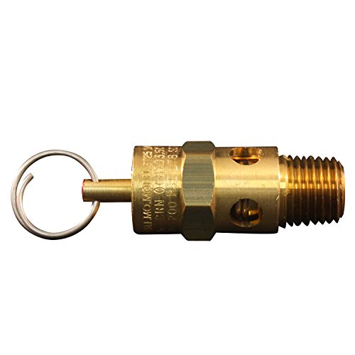 Milton S-1090-200 1/4' MNPT ASME Safety Valve - 200 PSI Pop off Pressure