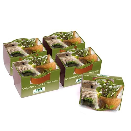 Bull & Bear 5er Set Mini Pflanzset Kräuter der Provence im Topf 4,5cm, Provence Kräutersamen als Anzuchtset mit Pflegeanleitung