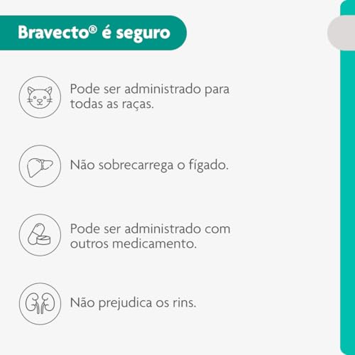 Bravecto Transdermal Gatos de 2.8 até 6.25kg Bravecto para Gatos, 2.8 a 6.25kg,
