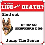 Cadeau parfait pour les amoureux des chiens : idéal pour les anniversaires, les vacances ou les pendaisons de crémaillère pour les propriétaires d'animaux domestiques. Un cadeau amusant et attentionné.