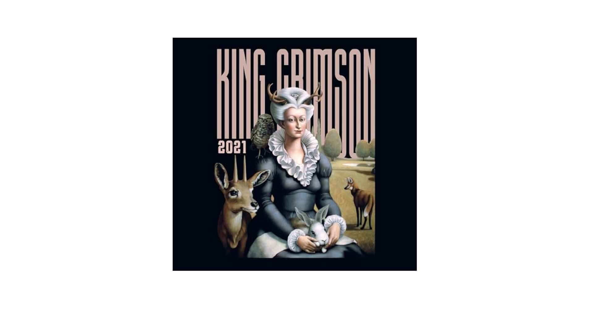 King Crimson - Live In Washington & Albany 2021 - 200gm
