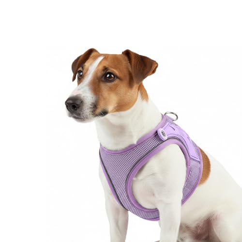 Max & Molly Hundegeschirr Matrix 2.0 Lavendel/S als Air Vest Geschirr, Step-In Geschirr mit Gotcha! Smart ID, Außenseite aus leichtem Air Mesh Material - Komfort für deinen treuen Begleiter