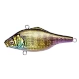 VIBRATION-X SMATRA(RATTLE IN) GG タンニンギルⅡ