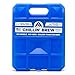 Arctic Ice Chillin Brew Series Reusable Cooler Pack, 2.5-Pound