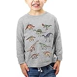 Toddler Boys Long Sleeve Tee Shirt Dinosaur Clothes for Kids Cartoon Pullover Tops 3T