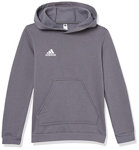 Sweat à capuche adidas Entrada 22 gris pour l'entraînement junior