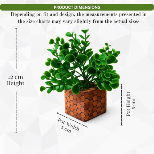 Image of DecoreBugs Artificial Eucalyptus Plant with Plastic Pot (Pack of 2) | 12 cm Height | Mini Potted Plants for Shelf Decor, Home, Office, Living Room, Desk & Table Item Decoration