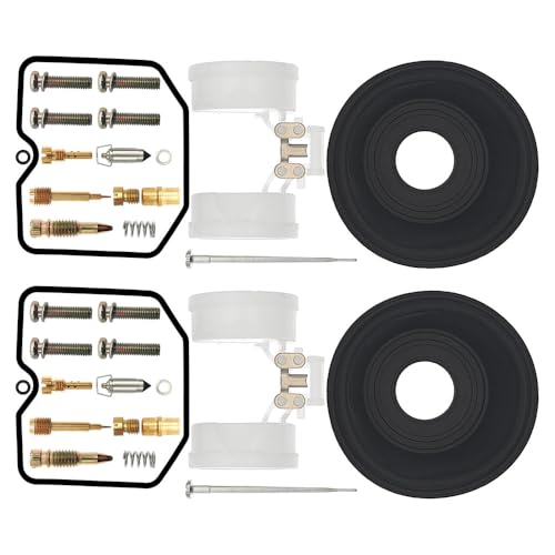 2-Pack Carburetor Carb Repair Rebuild Kits Replacement for Kawasaki Ninja EX250 EX250H 250R ZZR250 2001-2012 Diaphragm Float