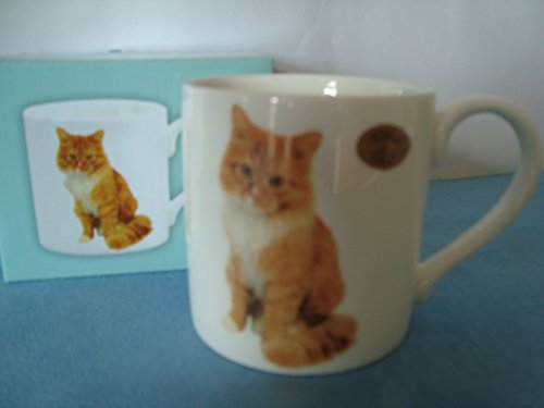 Ginger Cat Mug - Standard Size, China Construction