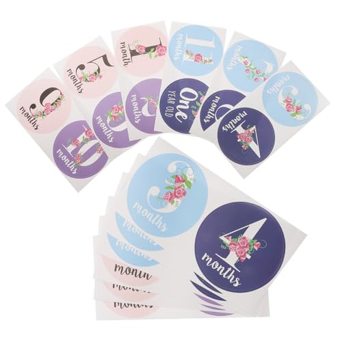 MOTHNUR 12Vp L^V[ _炩fނŌJԂ\ ߗނ