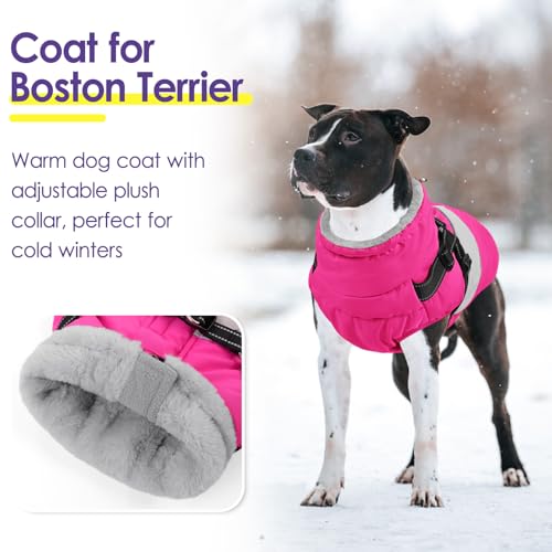 Image of Dog Coat, XXL Dog Jacket Winter with Harness Built in, Waterproof Pet Snow Jacket with Furry Collar for Chilly Day, Reflective Fleece Snowsuit for Extra Large Dogs, Hot Pink 2XL