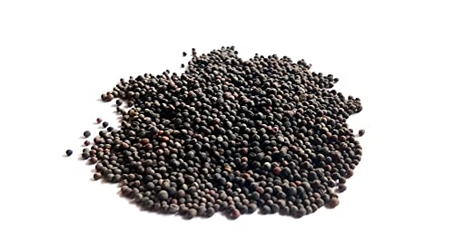 Dwarf Blue Curled Scotch Kale Seeds For Planting - Heirloom Non-Gmo Usa Grown Vegetable Seeds - Approx. 1 Gram - Premium Waterproof Packaging - By Rdr Seeds #TOP2