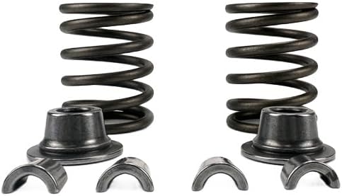 Valve Spring Kit Suitable for Kubota Z602 Engine Part