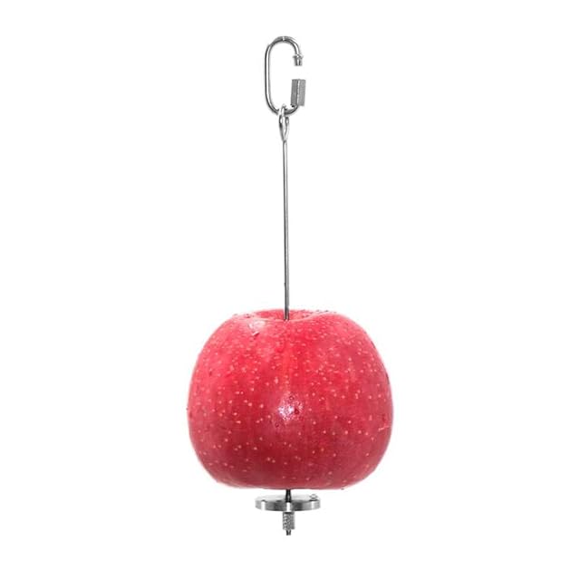 Foto 3 de 7 de Wudong 2 pinchos para loros, de acero inoxidable, soporte para colgar frutas, pájaros
