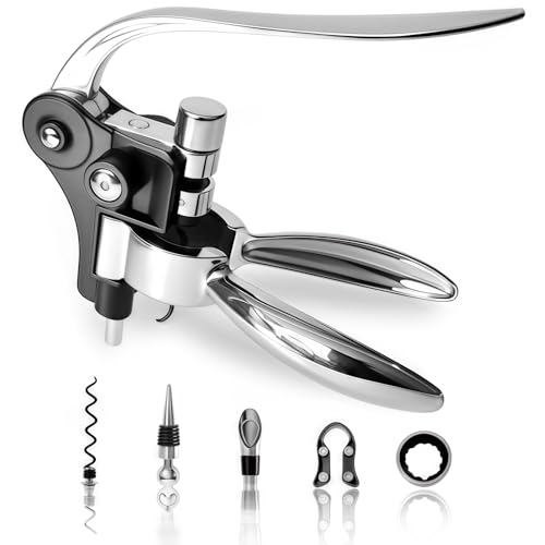 Huitban Silver Wine Corkscrew Opener Set - Luxury Wine Bottle Opener Kit for All Wines, Stainless Steel with Black Gift Box (Ideal Wine Gift, Premium Packaging)
