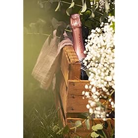 Bollinger Rose Champagne | 75 cl – Bollinger