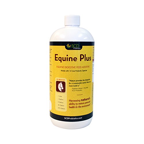 SCD Probiotics Equine Plus - Liquid Probiotic Feed and Water Additive for Horses, Supports Digestive Health - 1 Liter