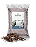 Soil Mixture for Lucky Bamboo Plants, Specialized Soil Mix for Lucky Bamboo Plants, Plant or Re-Pot Lucky Bamboo, 4qt (Pack of 1)