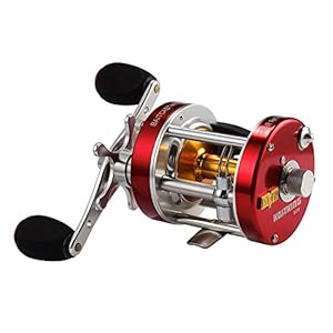 KastKing Rover Round Baitcasting Reel, Perfect Conventional Reel for Catfish, Salmon/Steelhead, Striper Bass and Inshore Saltwater Fishing – No.1 Highest Rated Conventional Reel, Reinforced Metal Body