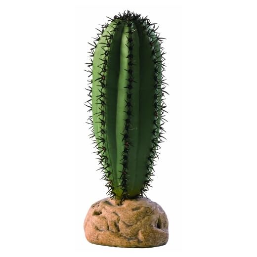 Exo Terra Saguaro Cactus Terrarium Plant