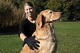 TRIXIE Fellpflege-Handschuh für Hunde - regt die Durchblutung an - entfernt lose Haare - auch für sensible Tiere - schwarz/blau - 16 x 24 cm - 23393