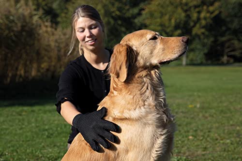 TRIXIE Fellpflege-Handschuh für Hunde - regt die Durchblutung an - entfernt lose Haare - auch für sensible Tiere - schwarz/blau - 16 x 24 cm - 23393