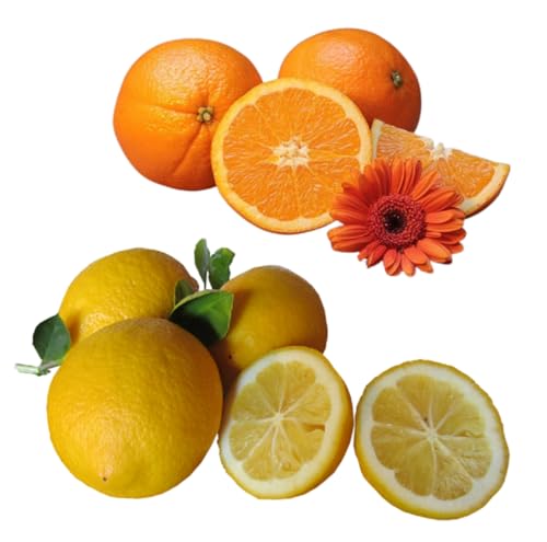 Dufte Momente | Whirlpool Duft 1000ml | Orange - Citrus | mit naturreinen und natürlichen ätherischen Ölen | kein Schaum | vegan und ohne Tierversuche